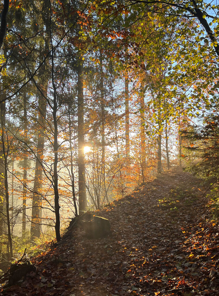 Gusenbauer-Bestattung-Hintergrundbild